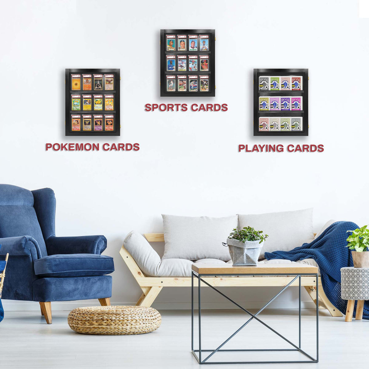 12 Graded Slab Wall Display Case – view 5
