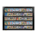 50 Raw Card Wall Display Case