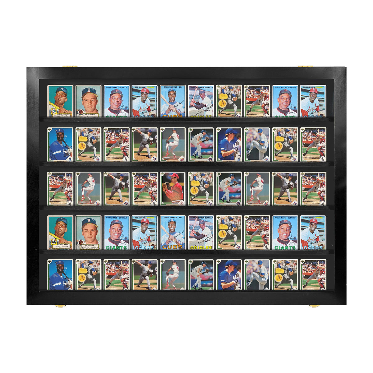 50 Raw Card Wall Display Case