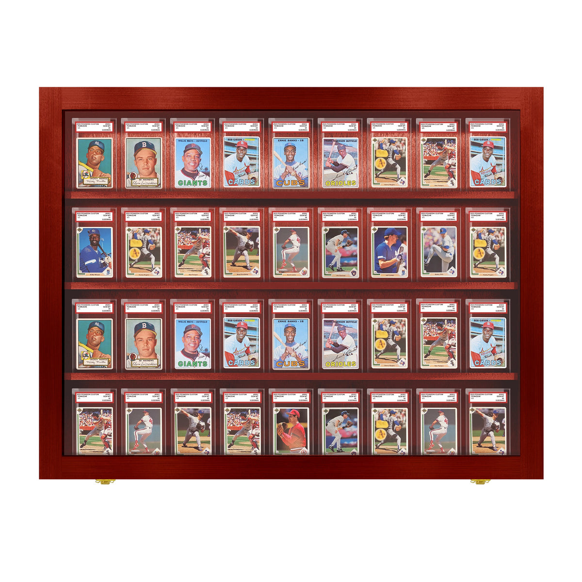 36 Graded Slab Wall Display Case – view 10