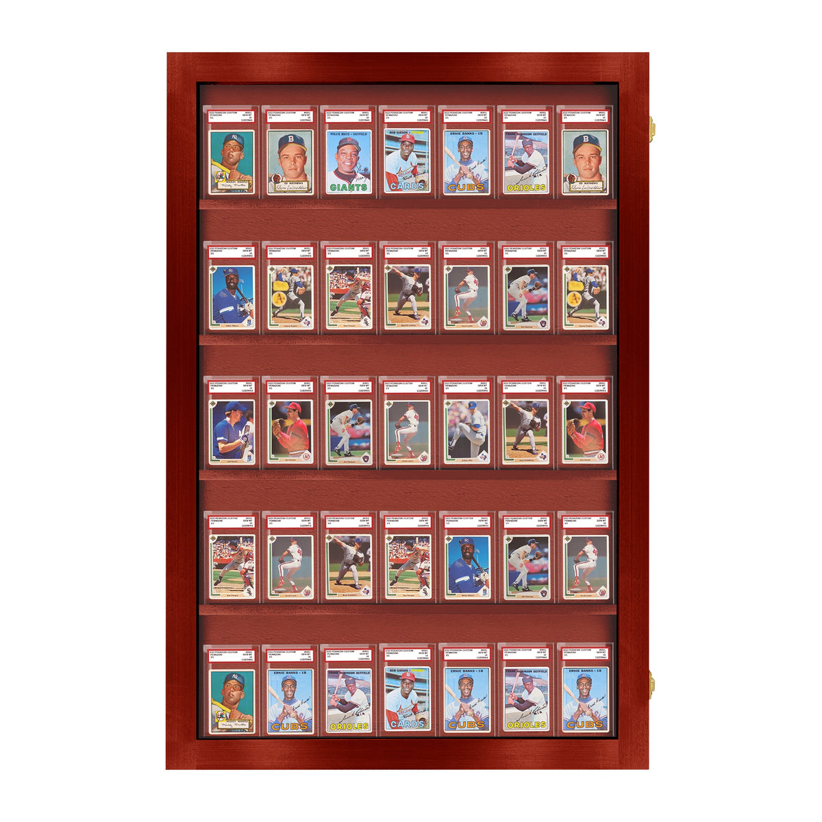 35 Graded Slab Wall Display Case – view 10