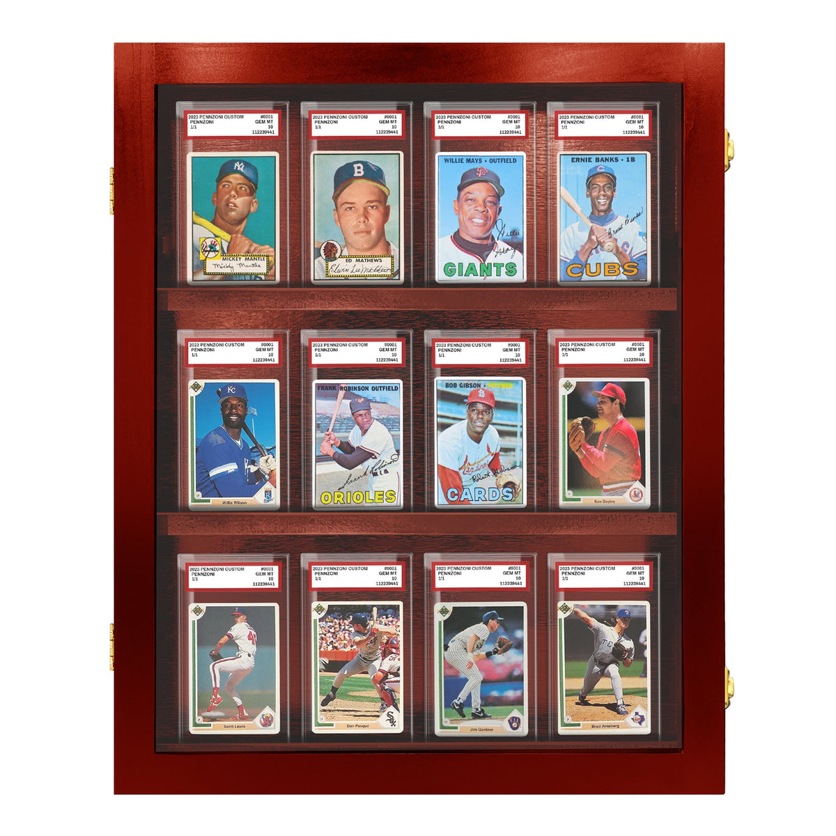 12 Graded Slab Wall Display Case – view 10