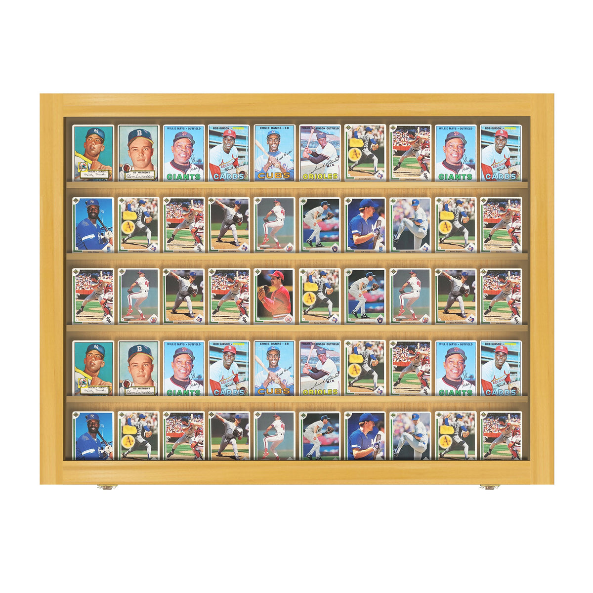 50 Raw Card Wall Display Case – view 12