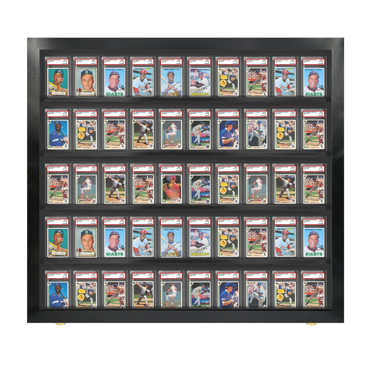 50 Graded Slab Wall Display Case