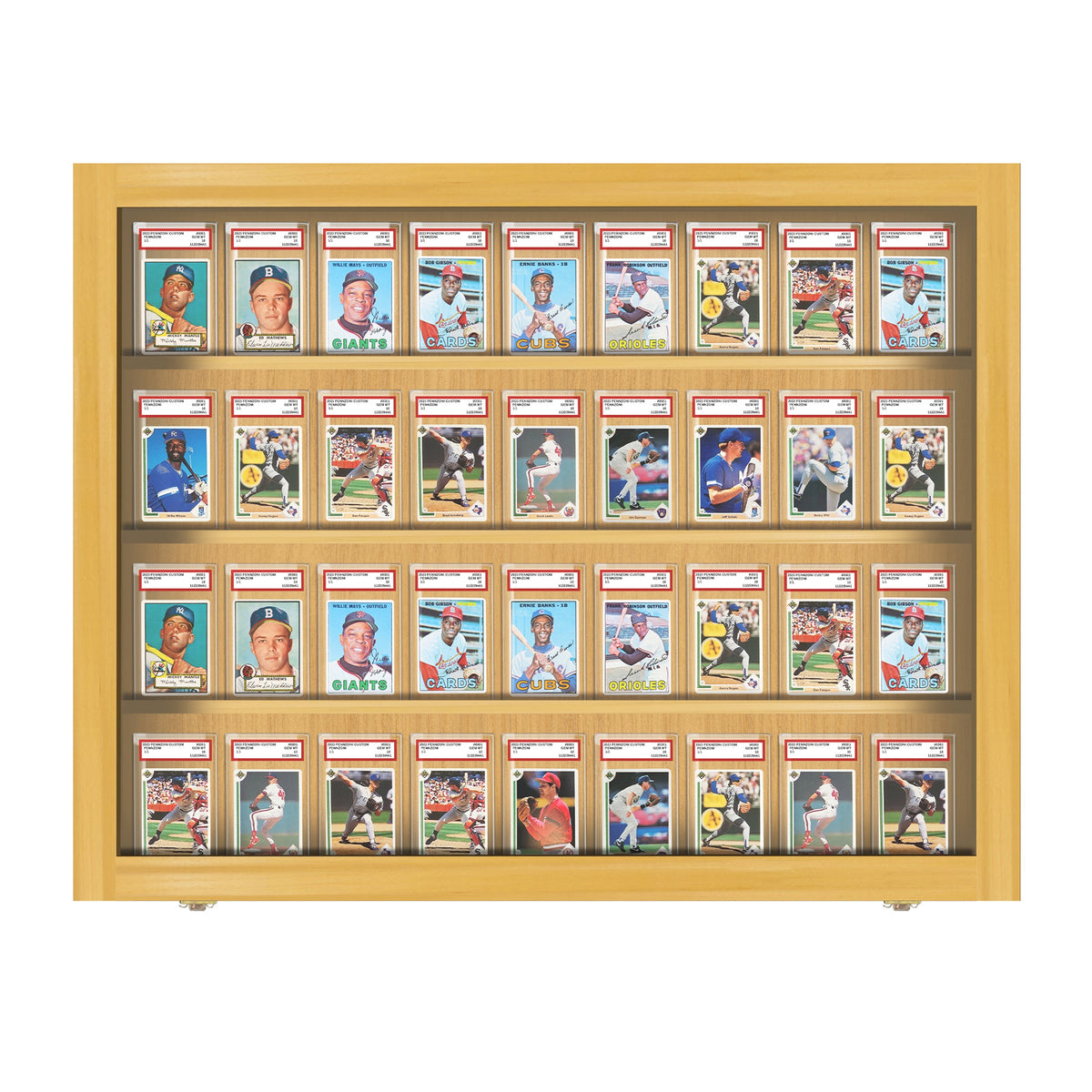 36 Graded Slab Wall Display Case – view 12