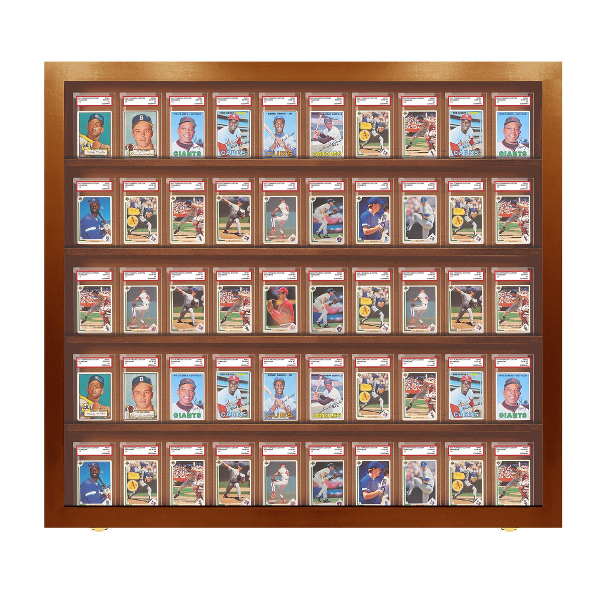 50 Graded Slab Wall Display Case – view 10