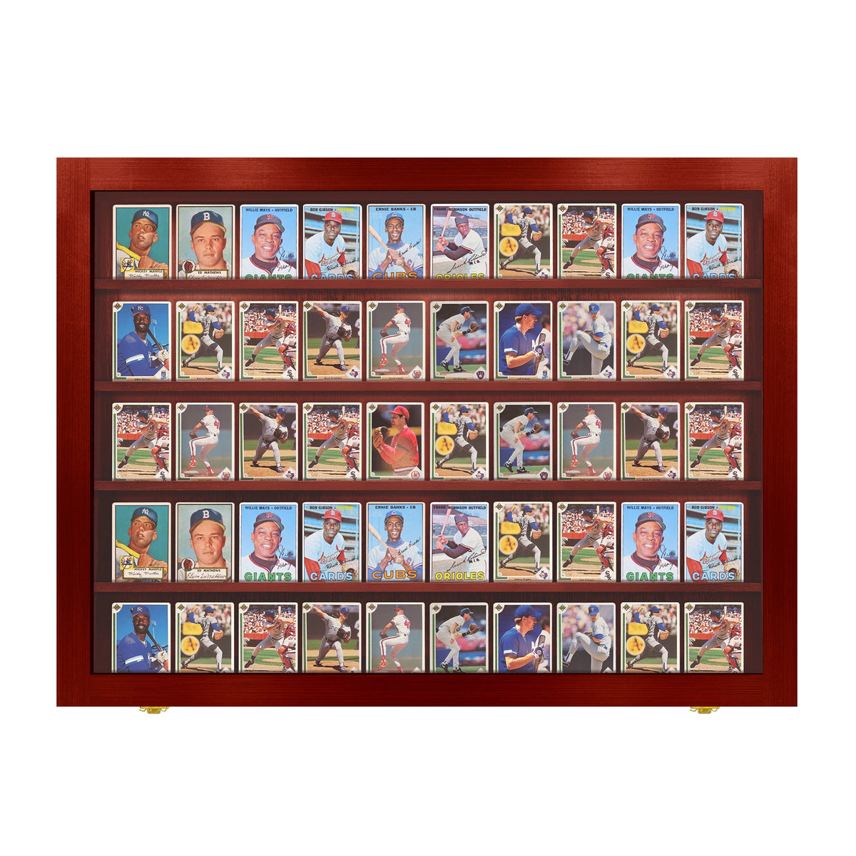 50 Raw Card Wall Display Case – view 10