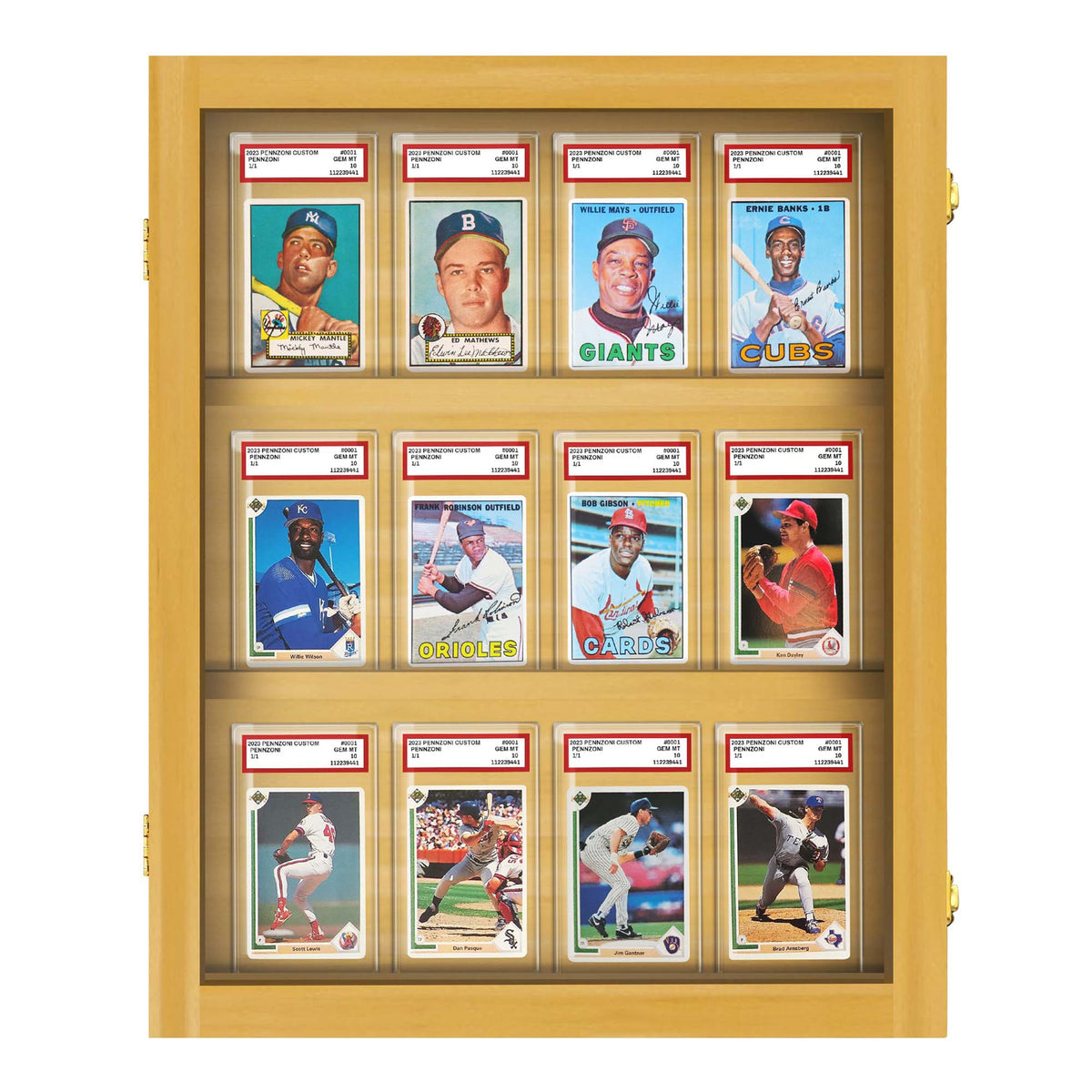 12 Graded Slab Wall Display Case – view 12