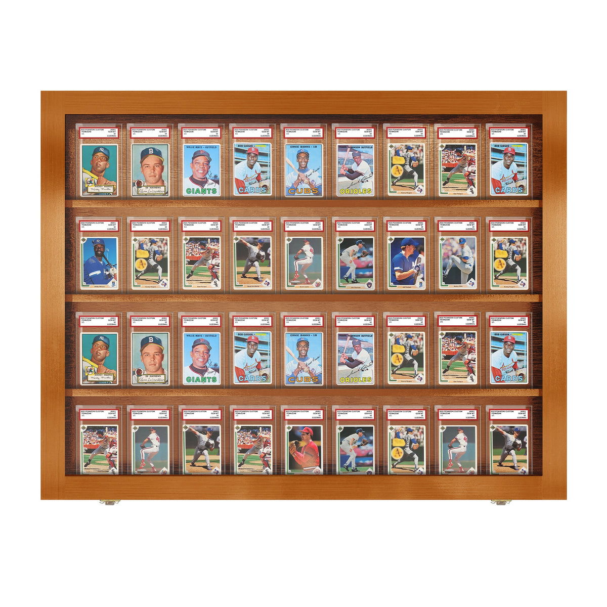 36 Graded Slab Wall Display Case – view 11