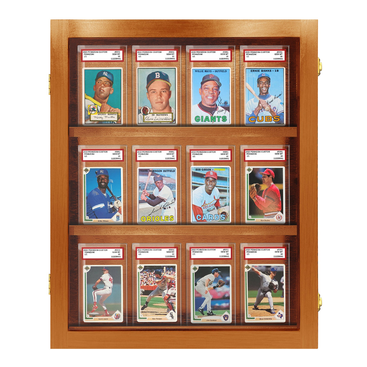 12 Graded Slab Wall Display Case – view 11