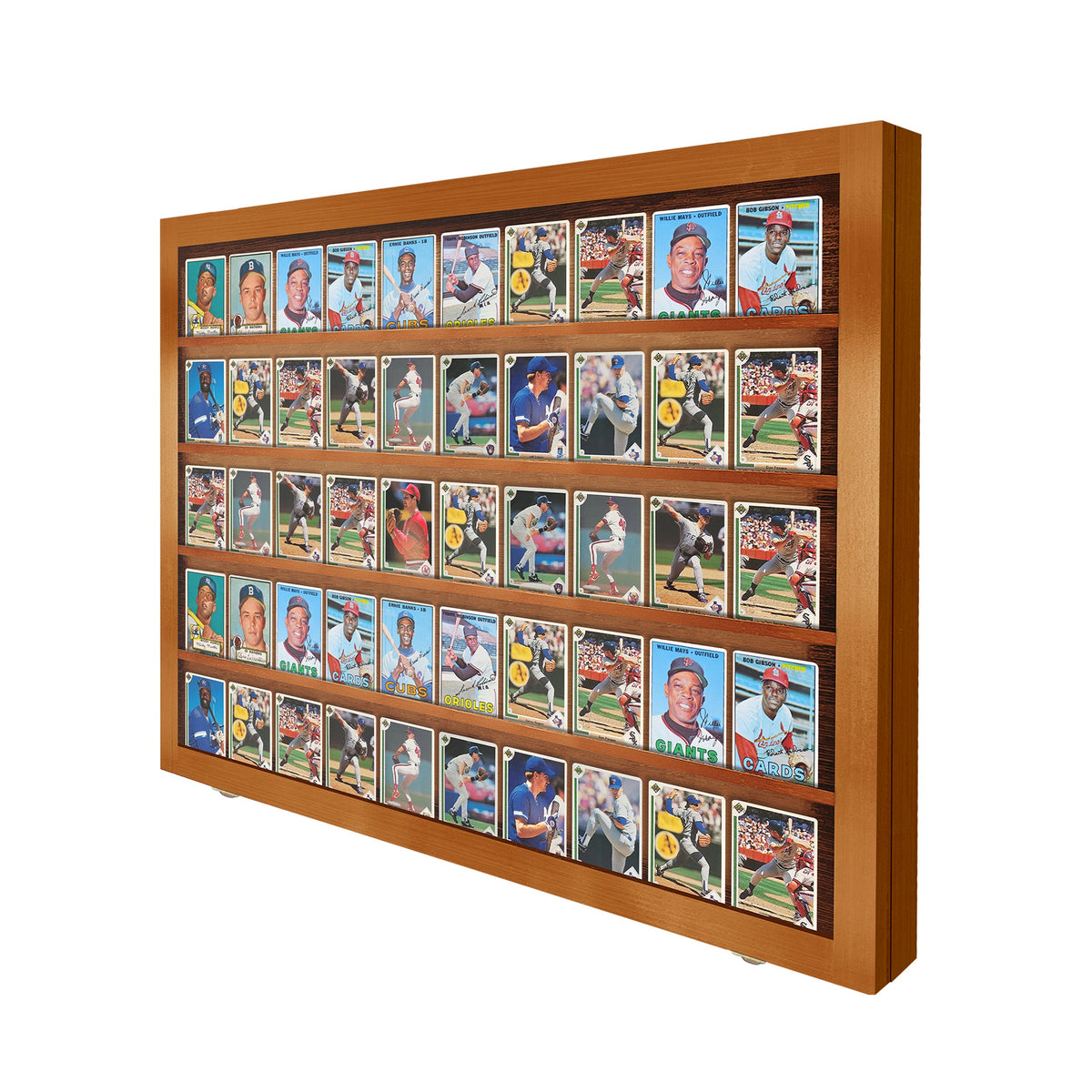 50 Raw Card Wall Display Case – view 11