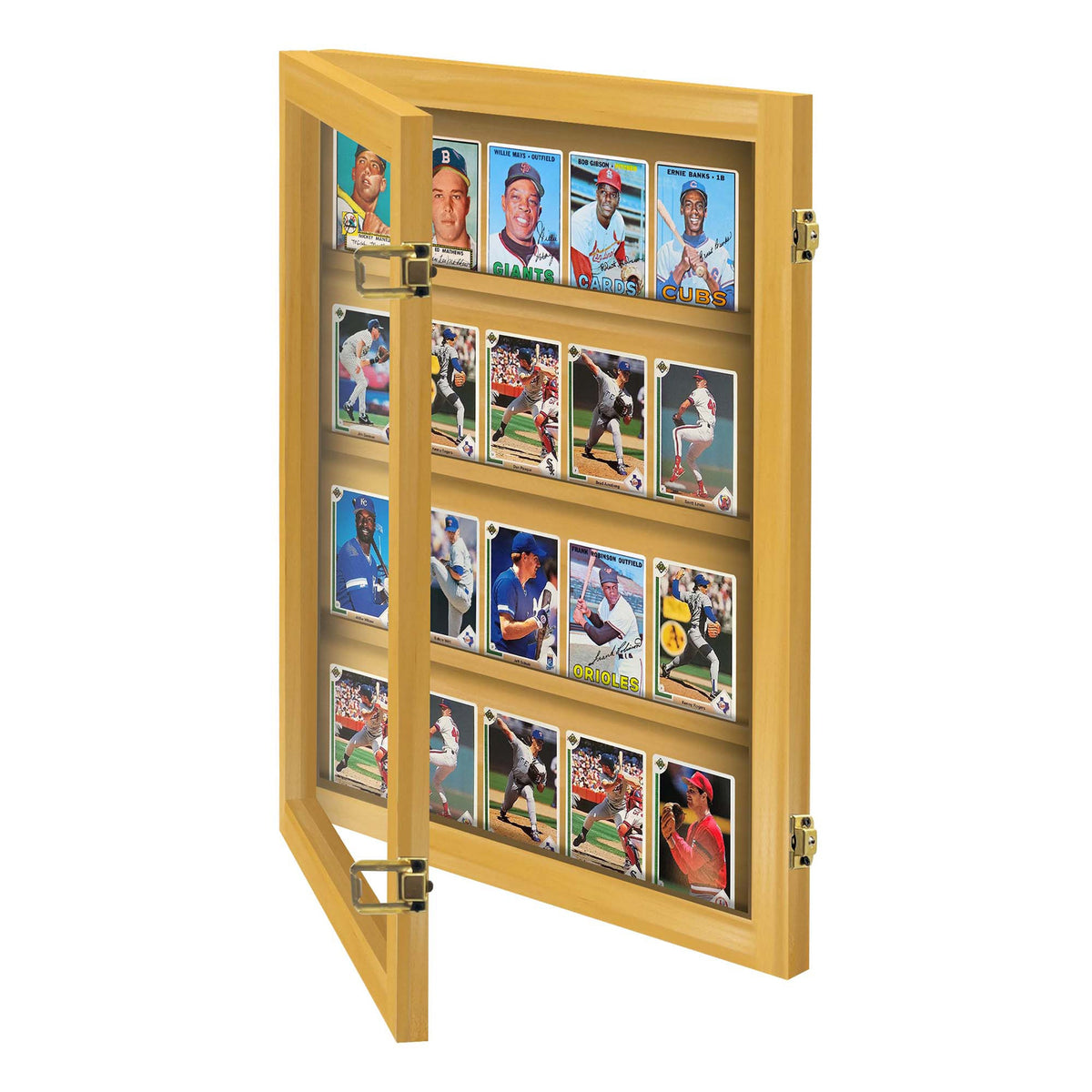 20 Raw Card Wall Display Case – view 11