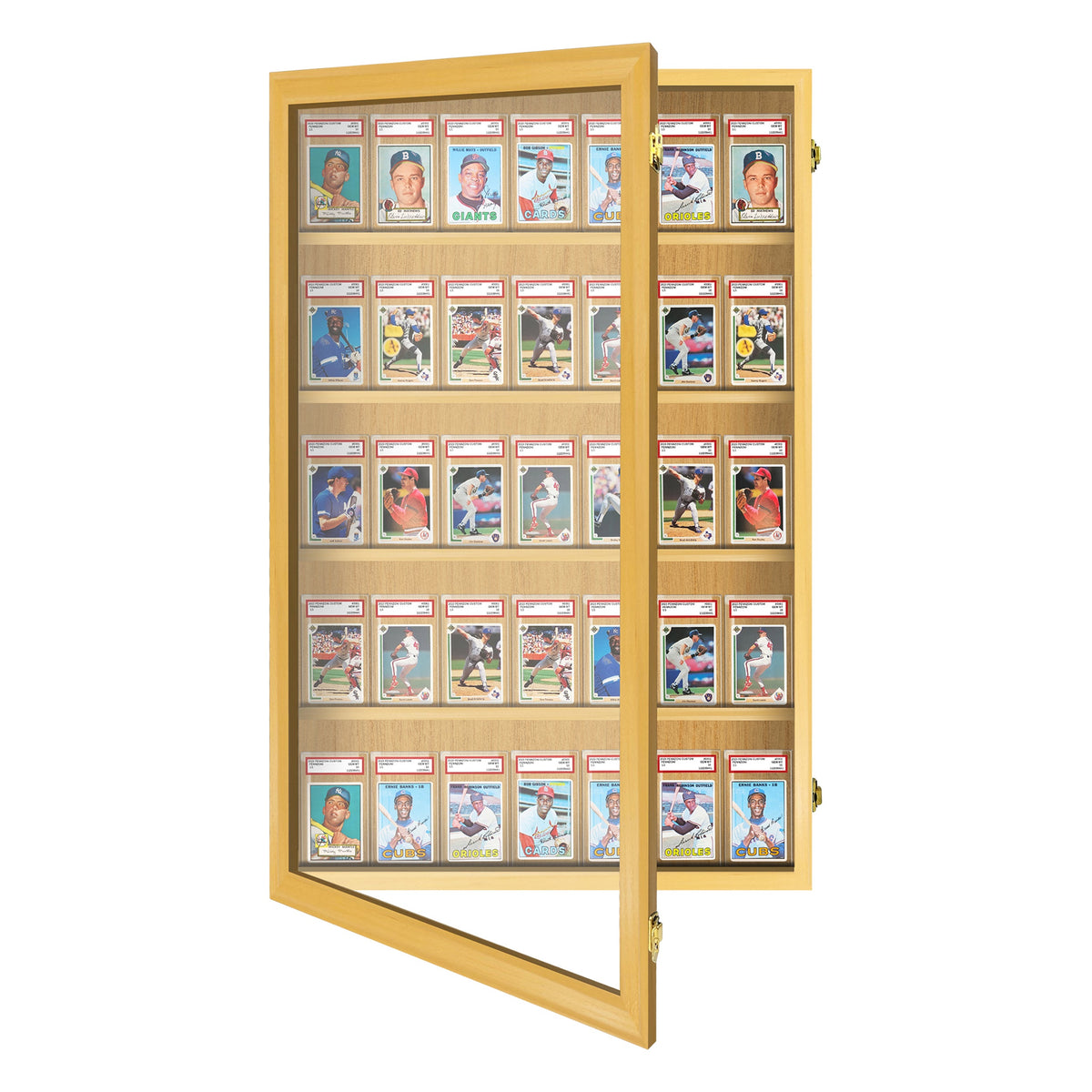 35 Graded Slab Wall Display Case – view 11