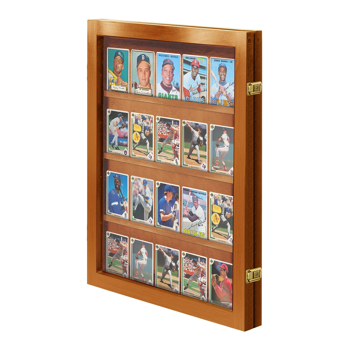20 Raw Card Wall Display Case – view 12