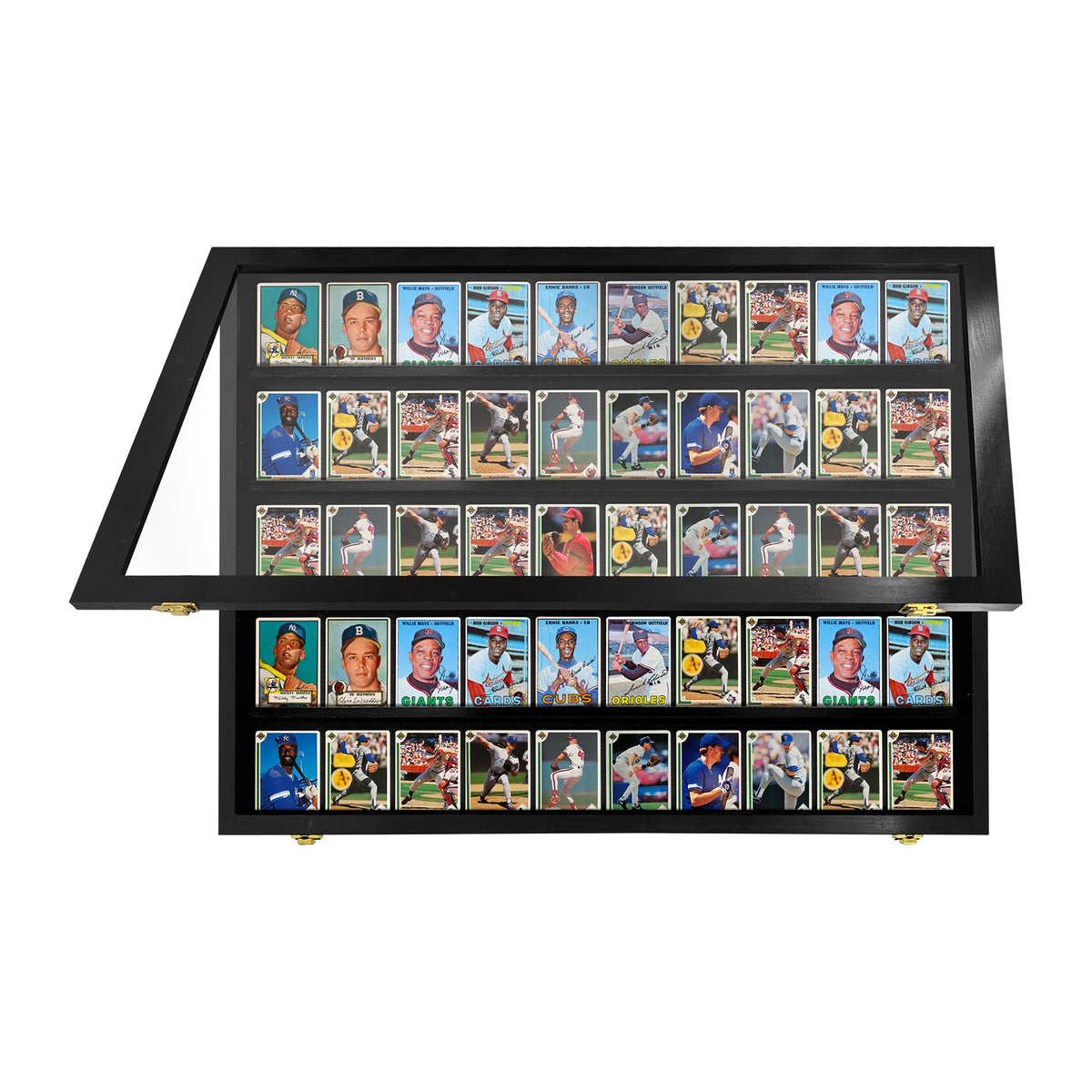 50 Raw Card Wall Display Case – view 9