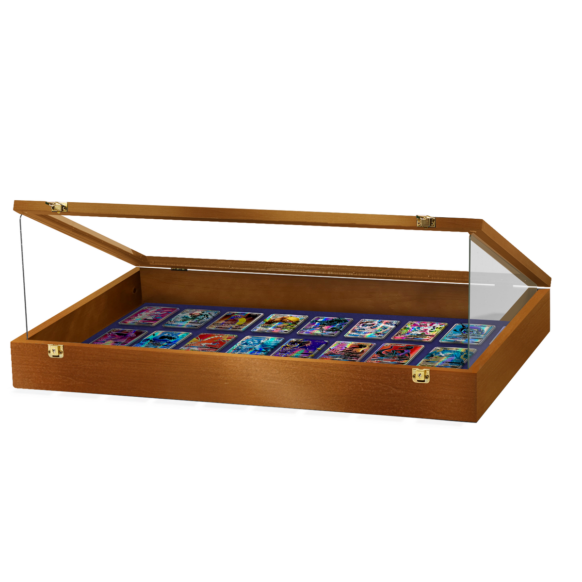Portable Trade Show Card Display Case with Acrylic Guards
