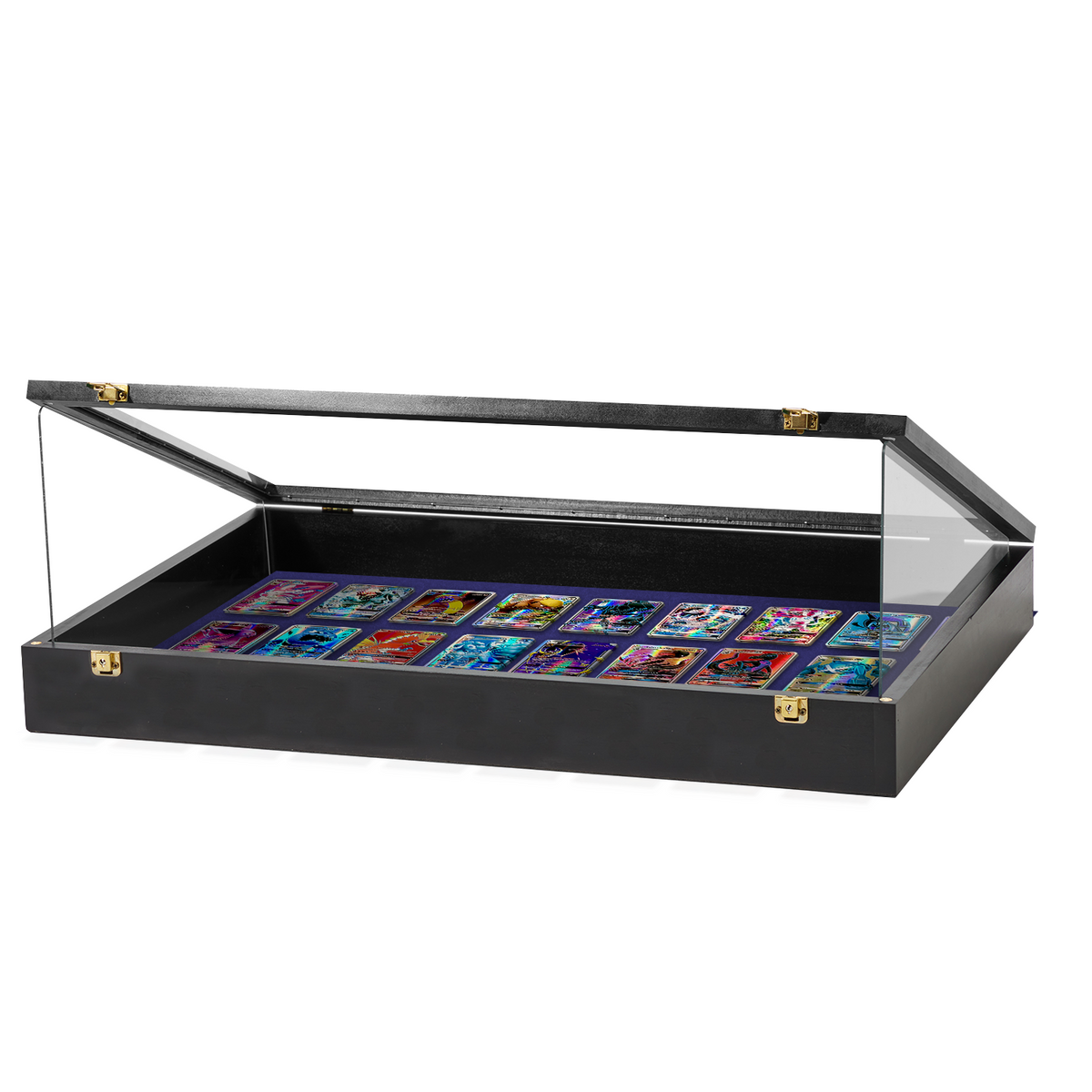 Portable Trade Show Card Display Case with Acrylic Guards