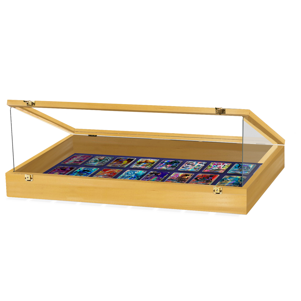 Portable Trade Show Card Display Case with Acrylic Guards