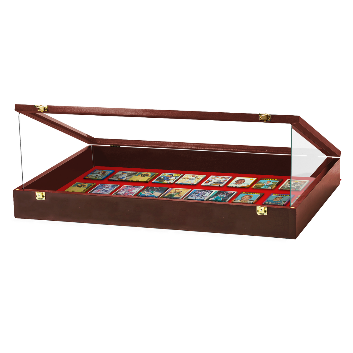 Portable Trade Show Card Display Case with Acrylic Guards