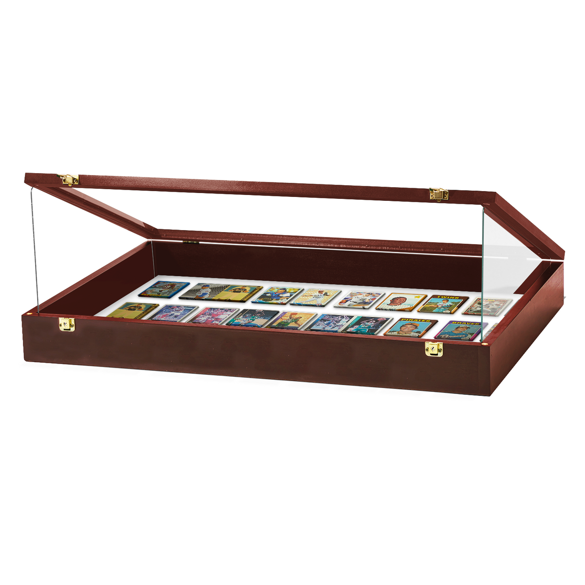 Portable Trade Show Card Display Case with Acrylic Guards
