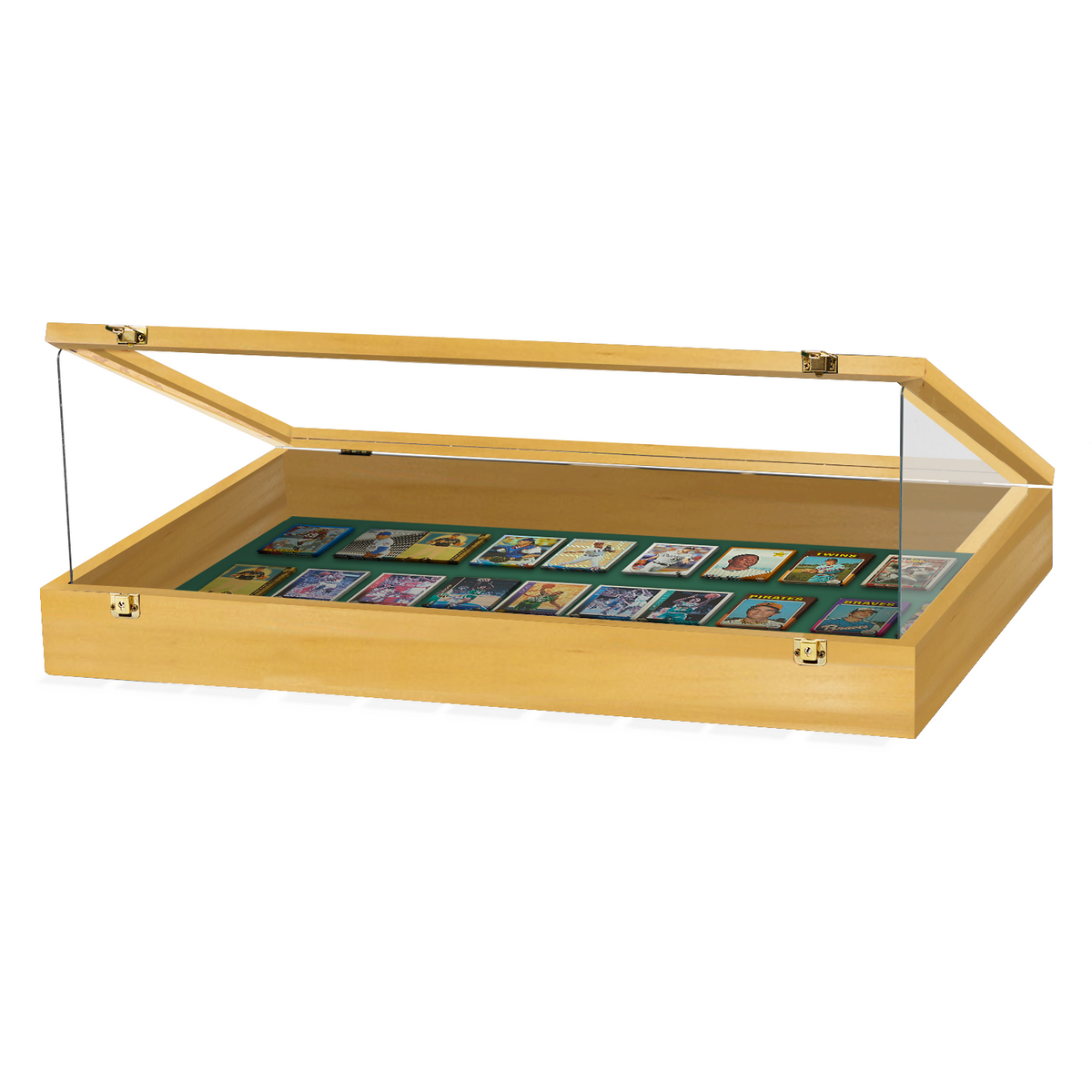 Portable Trade Show Card Display Case with Acrylic Guards