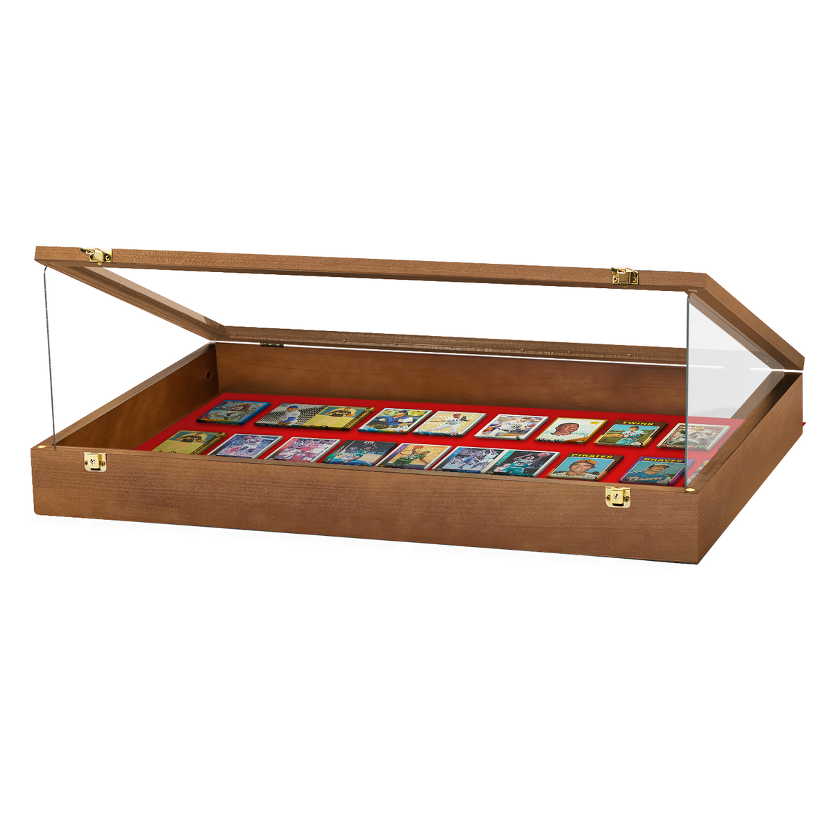 Portable Trade Show Card Display Case with Acrylic Guards