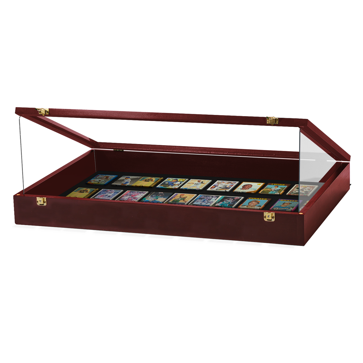Portable Trade Show Card Display Case with Acrylic Guards