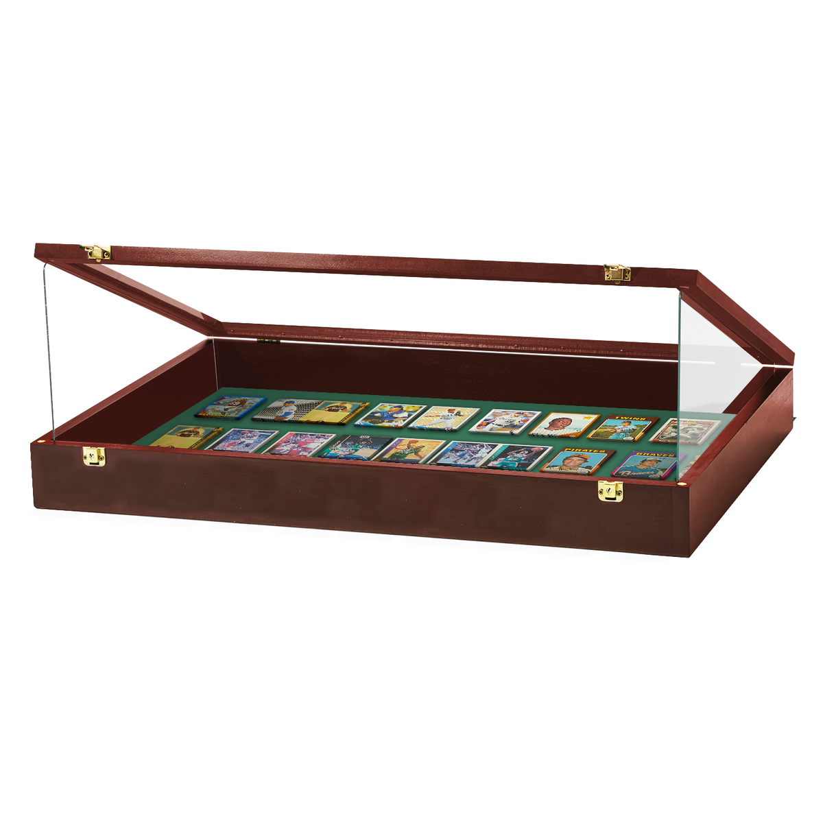 Portable Trade Show Card Display Case with Acrylic Guards
