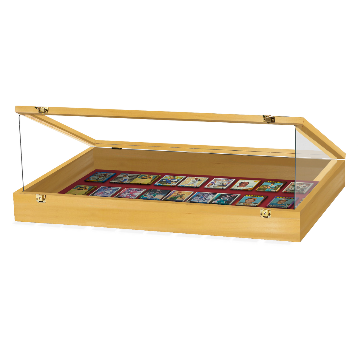 Portable Trade Show Card Display Case with Acrylic Guards