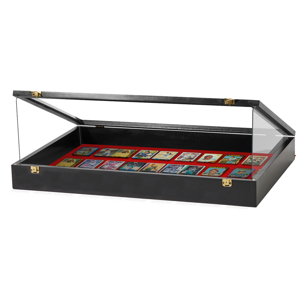 Portable Trade Show Card Display Case with Acrylic Guards – view 28