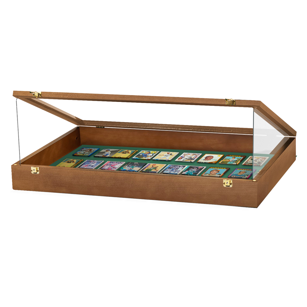 Portable Trade Show Card Display Case with Acrylic Guards