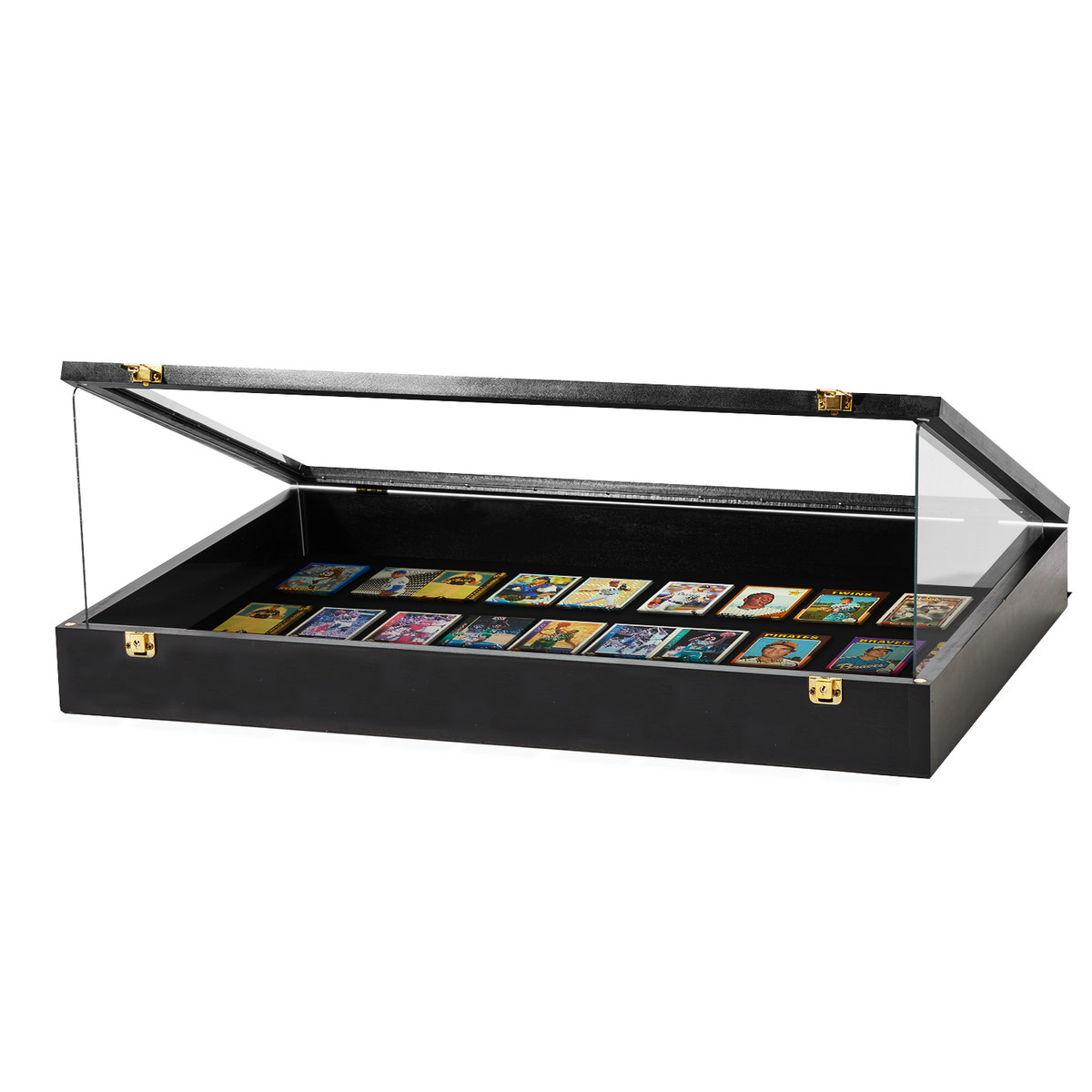 Portable Trade Show Card Display Case with Acrylic Guards