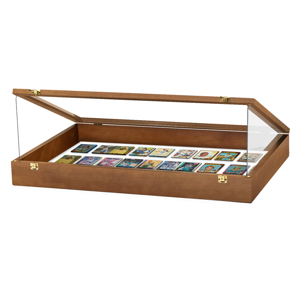 Portable Trade Show Card Display Case with Acrylic Guards