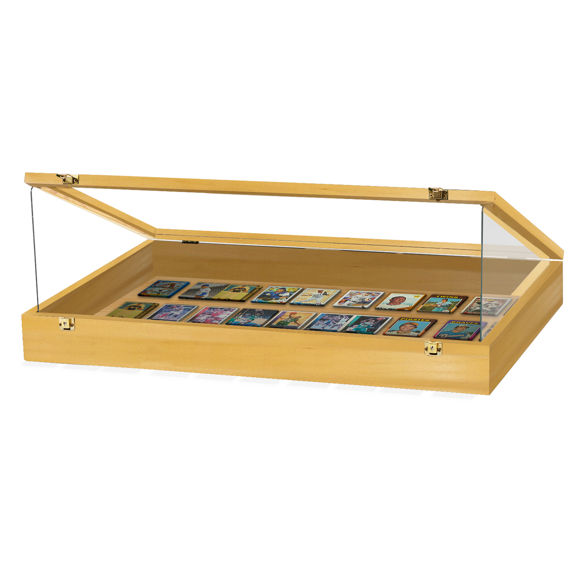 Portable Trade Show Card Display Case with Acrylic Guards