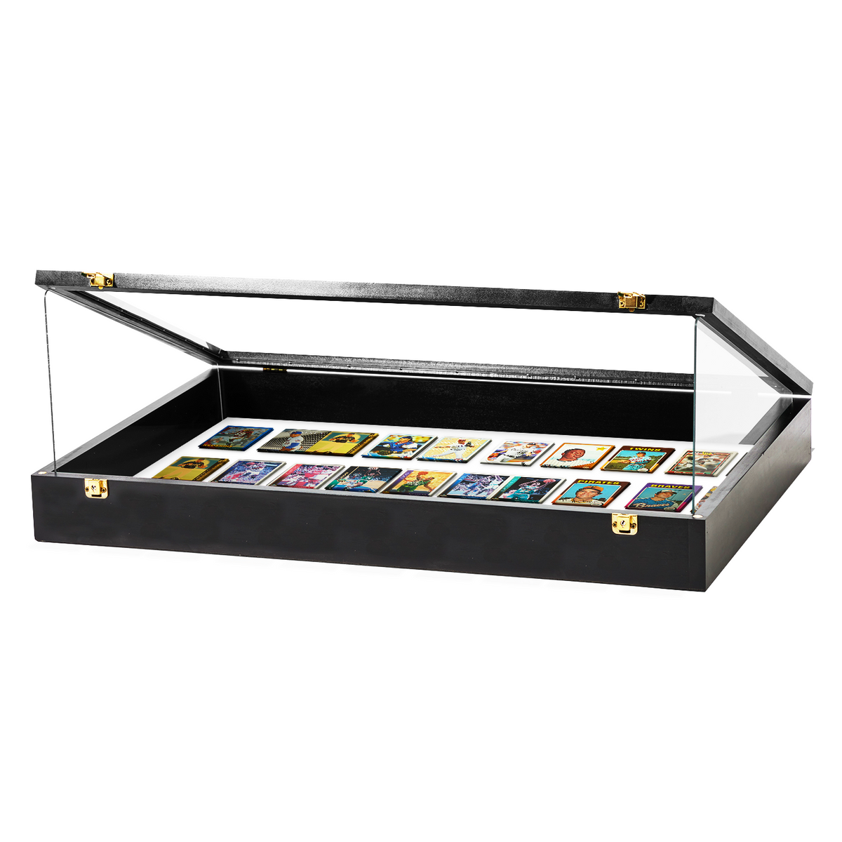 Portable Trade Show Card Display Case with Acrylic Guards