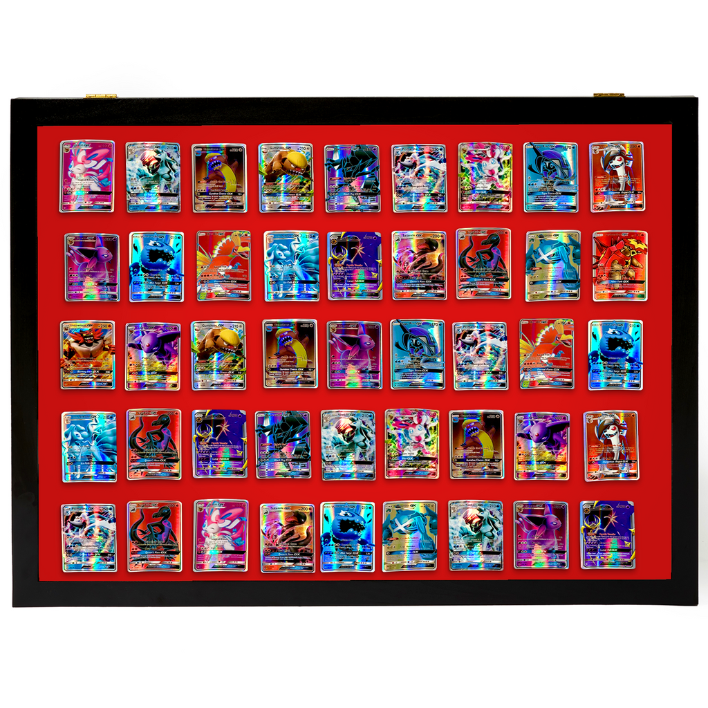 Portable Trade Show Card Display Case with Acrylic Guards – view 23