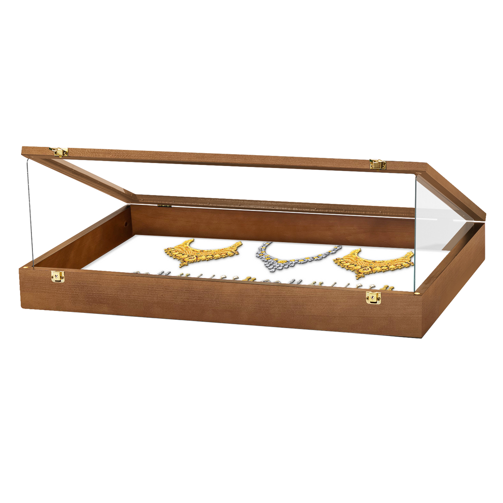 Portable Trade Show Card Display Case with Acrylic Guards