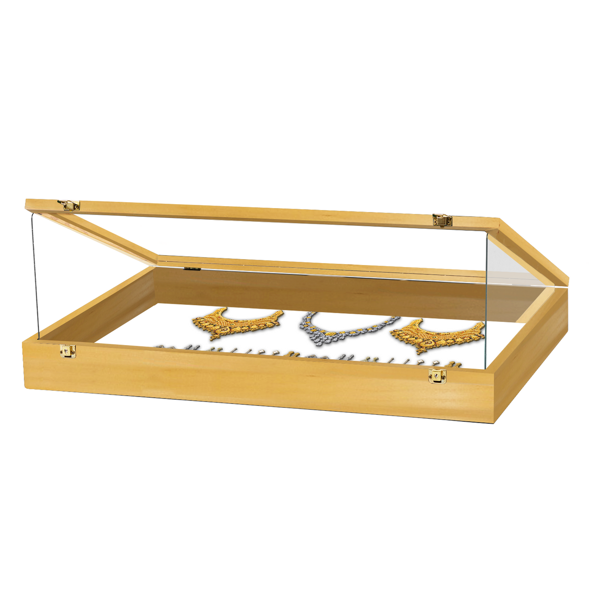 Portable Trade Show Card Display Case with Acrylic Guards