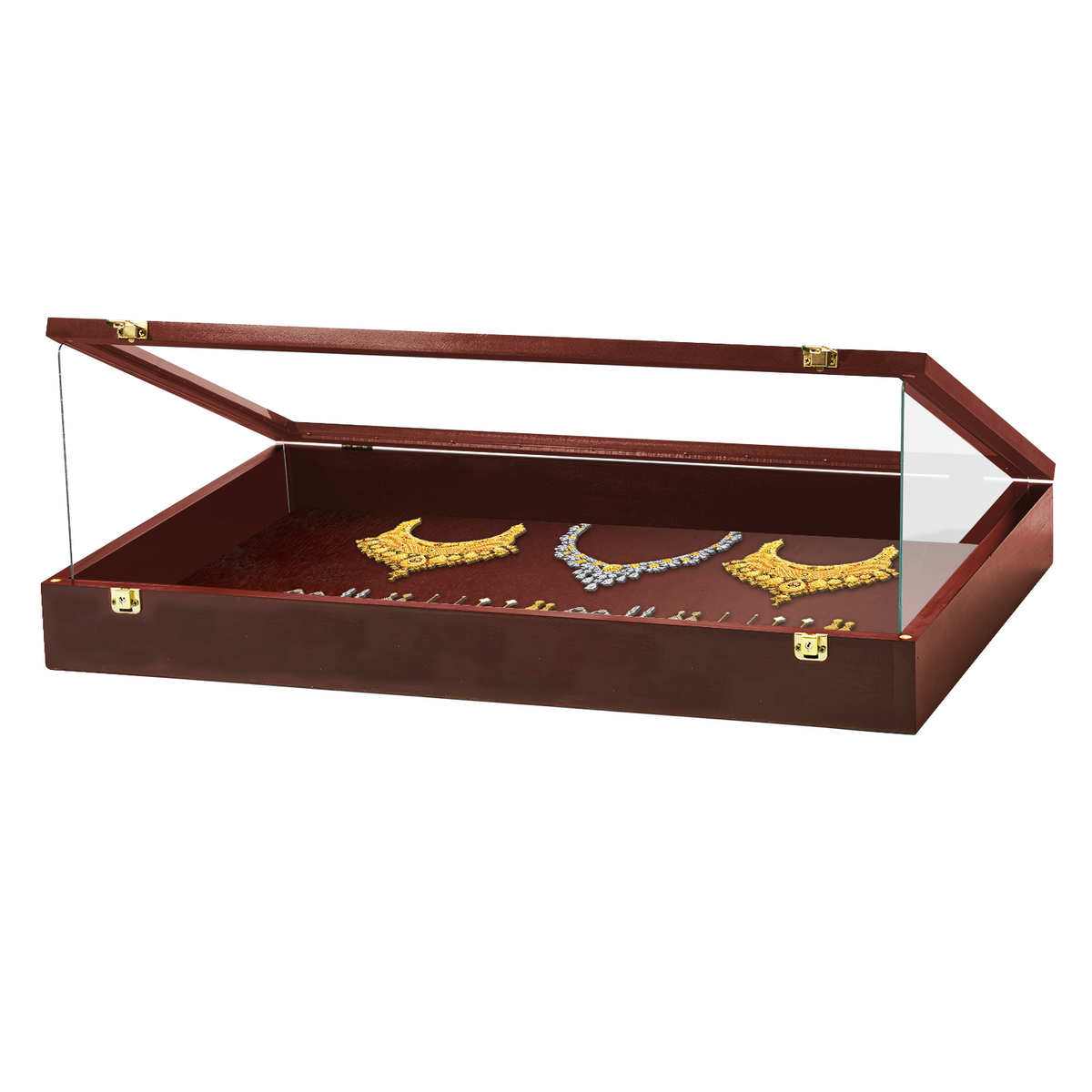Portable Trade Show Card Display Case with Acrylic Guards
