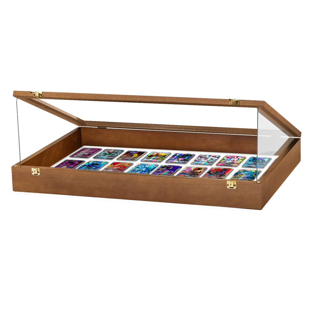 Portable Trade Show Card Display Case with Acrylic Guards