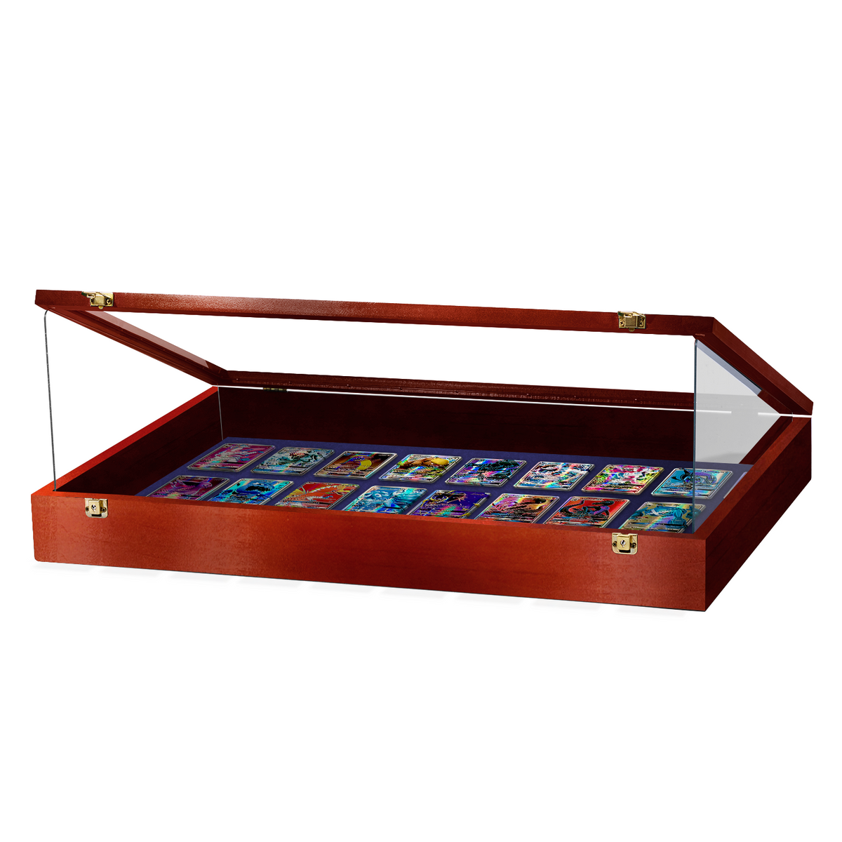 Portable Trade Show Card Display Case with Acrylic Guards